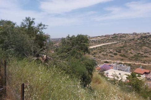 קרקע בעץ אפריים 3