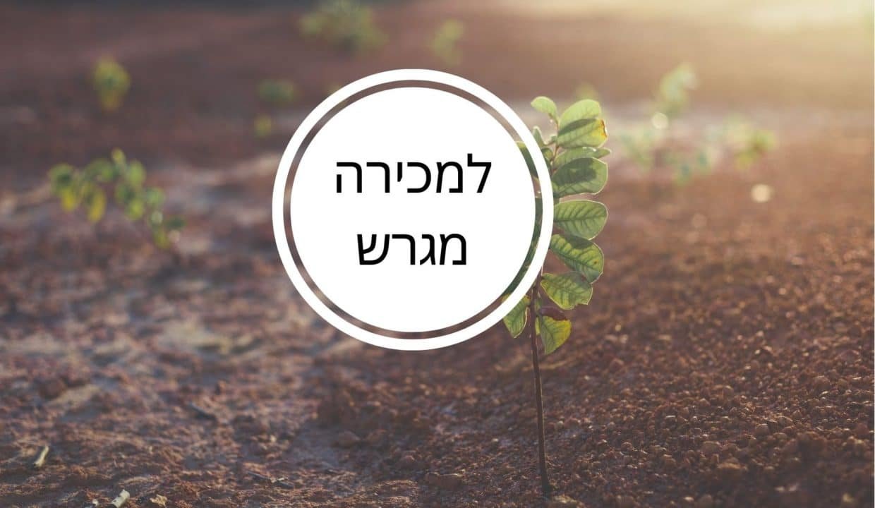 למכירה מגרש