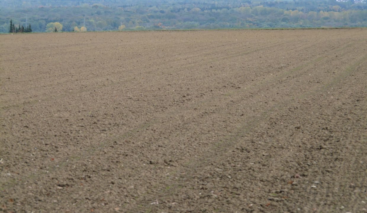 למכירה מגרש בא.ת בית שמש