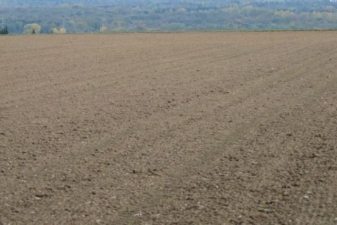 למכירה מגרש בא.ת בית שמש