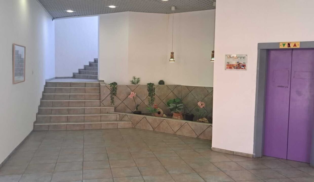 להשכרה מבנה בקירבת נמל חיפה