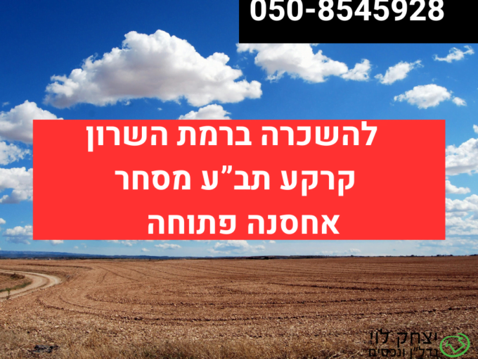 להשכרה קרקע לאחסנה ברמת השרון