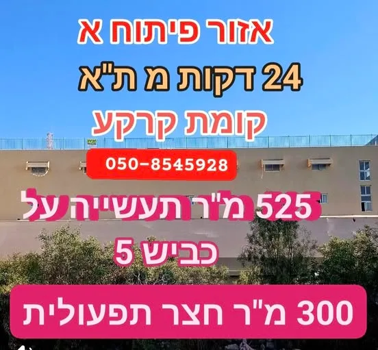 למכירה או להשכרה באלקנה