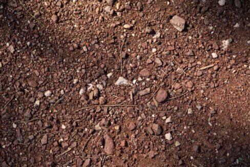 קרקע מזוהמת להמחשה בלבד